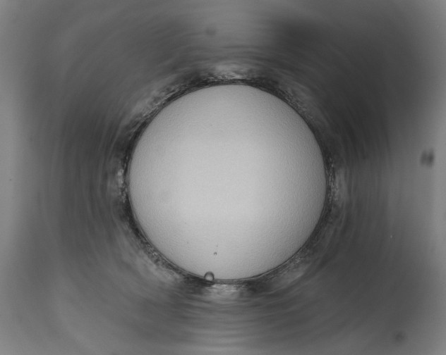 X0000114630418200911101240