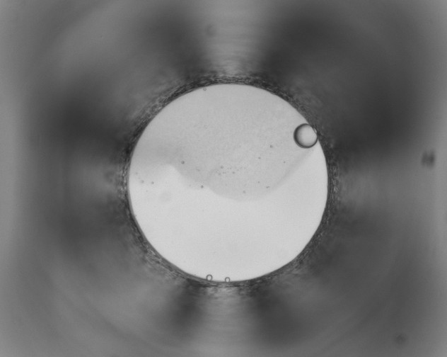 X0000114630419200911101240