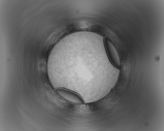 X0000114630421200911101240