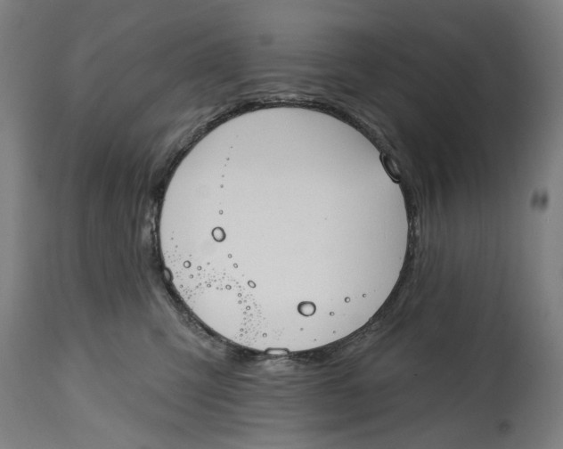 X0000114630423200911101240