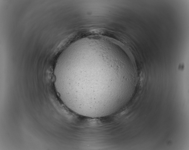 X0000114630424200911101240