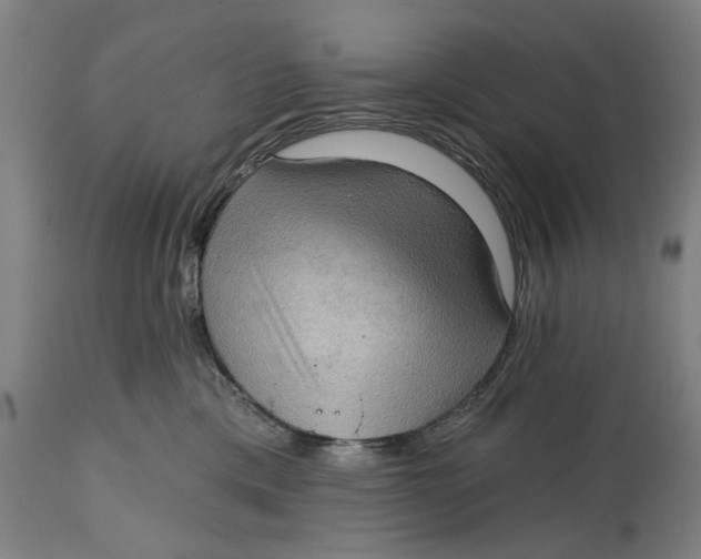 X0000114630425200911101240