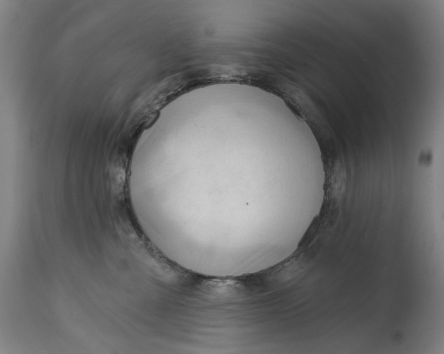 X0000114630427200911101240