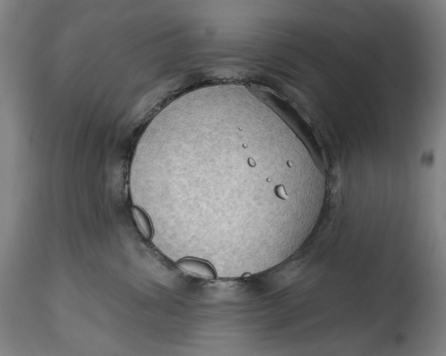 X0000114630428200911101240