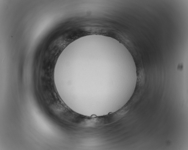 X0000114630430200911101240