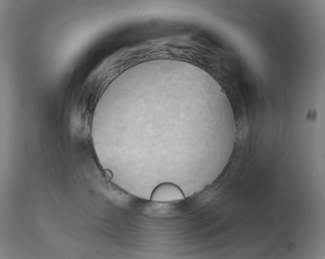 X0000114630431200911101240