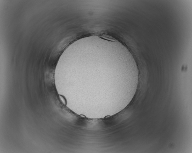 X0000114630432200911101240