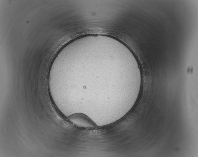 X0000114630433200911101240