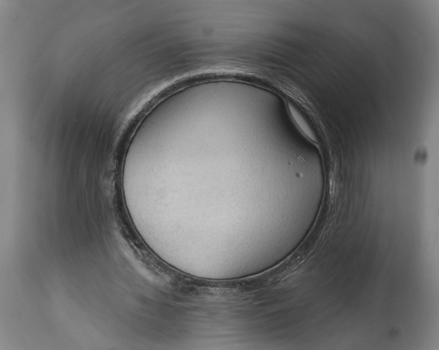 X0000114630436200911101240