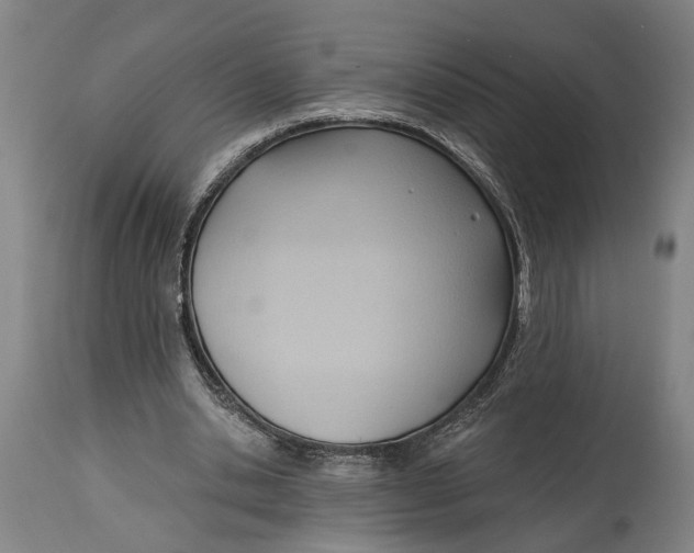 X0000114630438200911101240