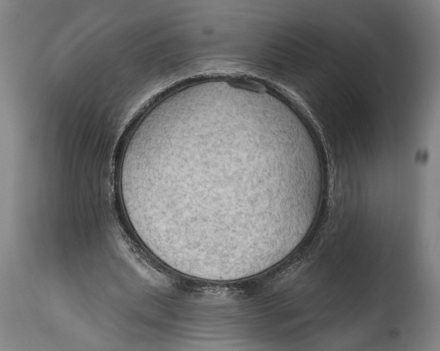 X0000114630439200911101240