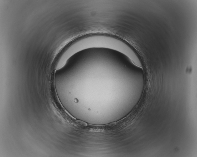 X0000114630440200911101240