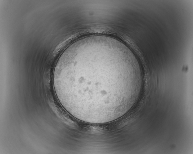 X0000114630442200911101240