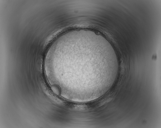 X0000114630446200911101240