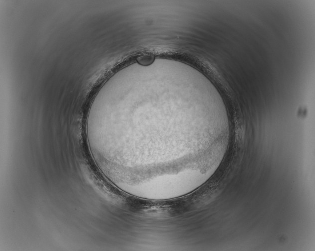 X0000114630447200911101240