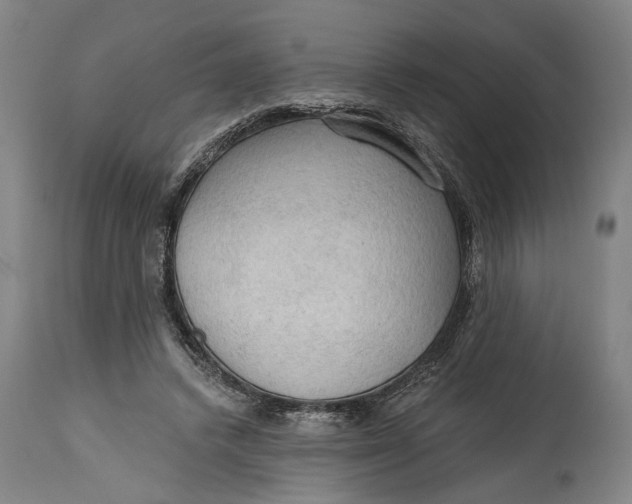 X0000114630448200911101240