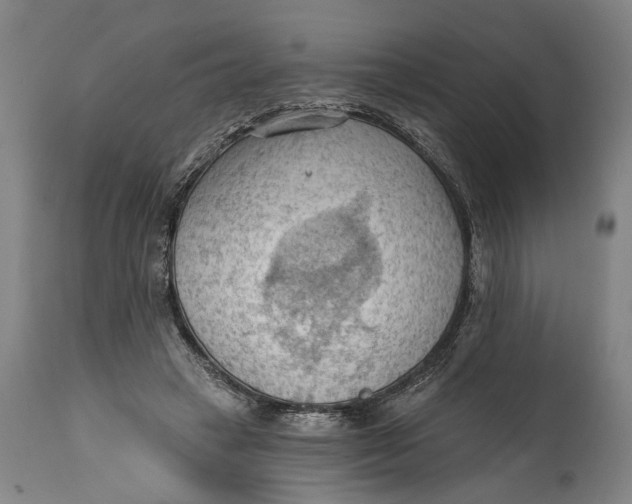 X0000114630449200911101240