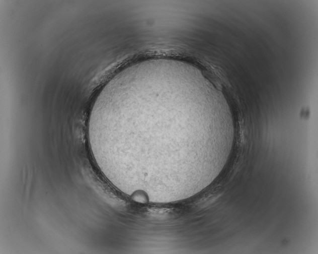 X0000114630450200911101240