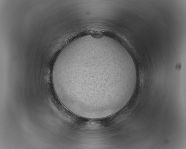 X0000114630451200911101240