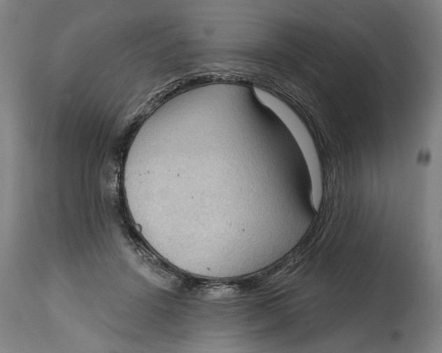 X0000114630456200911101240