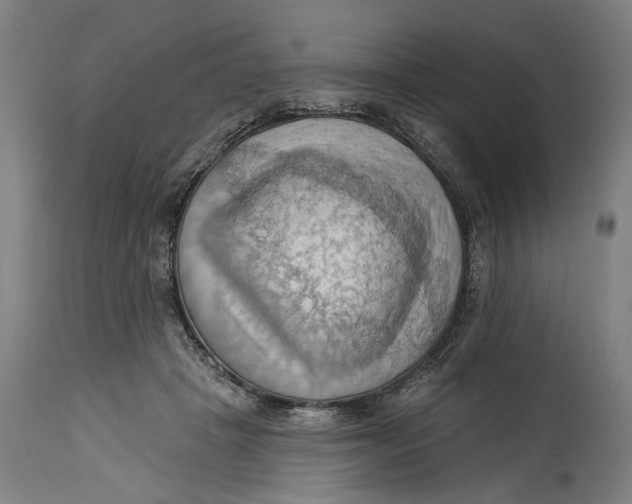 X0000114630457200911101240