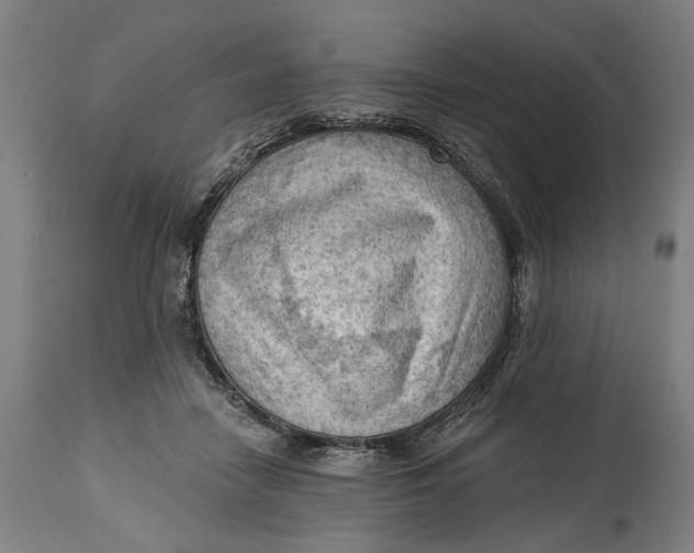 X0000114630458200911101240