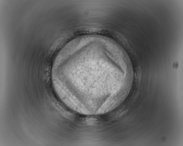 X0000114630462200911101240