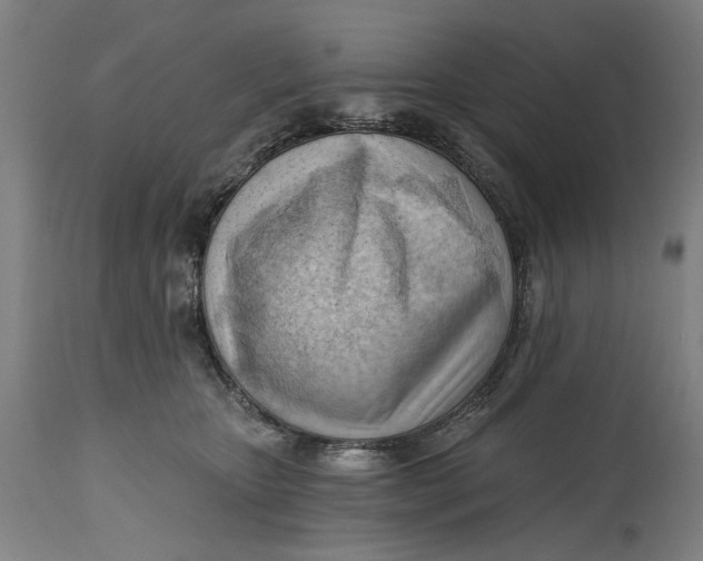 X0000114630467200911101240