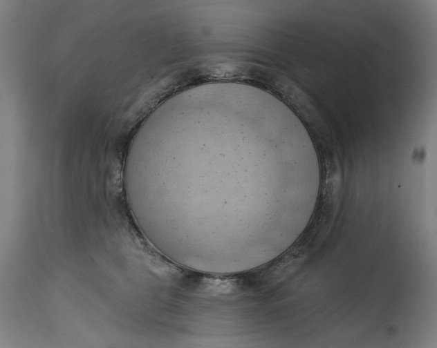 X0000114630469200911101240