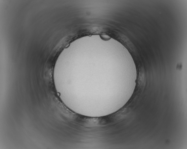 X0000114630473200911101240