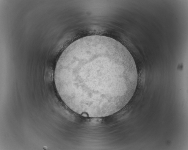 X0000114630474200911101240