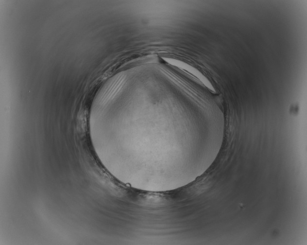 X0000114630475200911101240