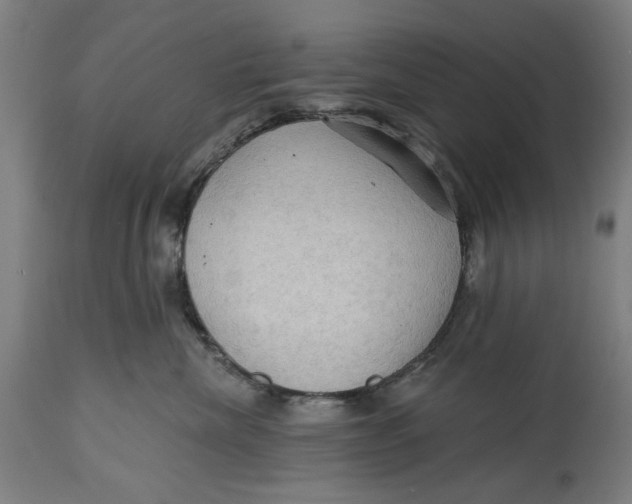 X0000114630476200911101240