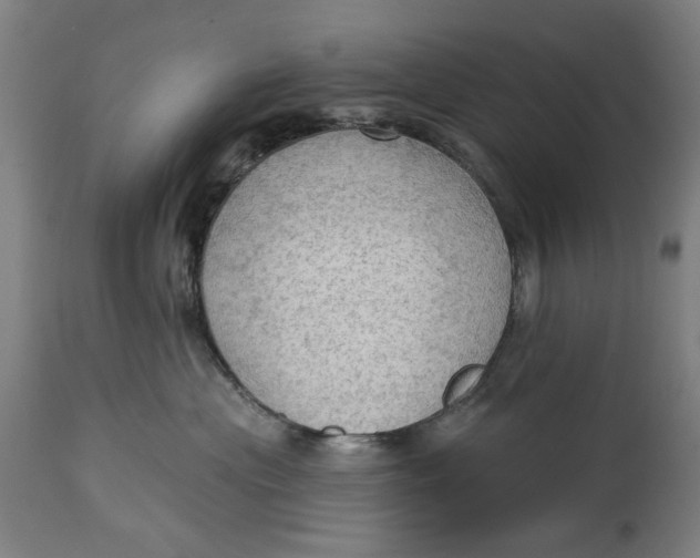 X0000114630477200911101240