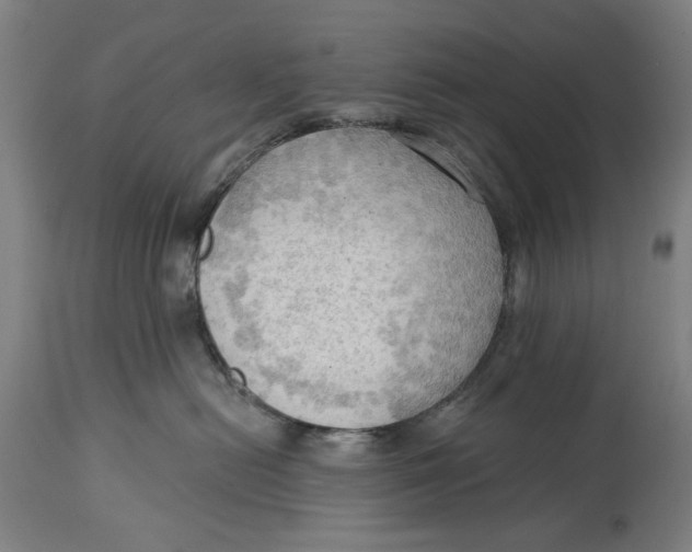 X0000114630478200911101240