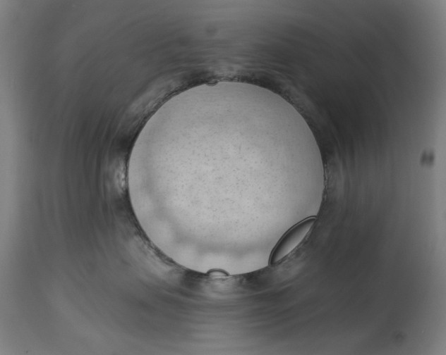 X0000114630479200911101240