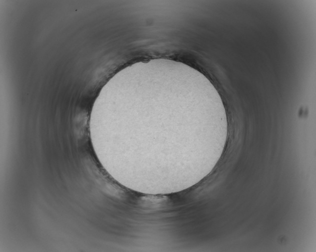 X0000114630480200911101240