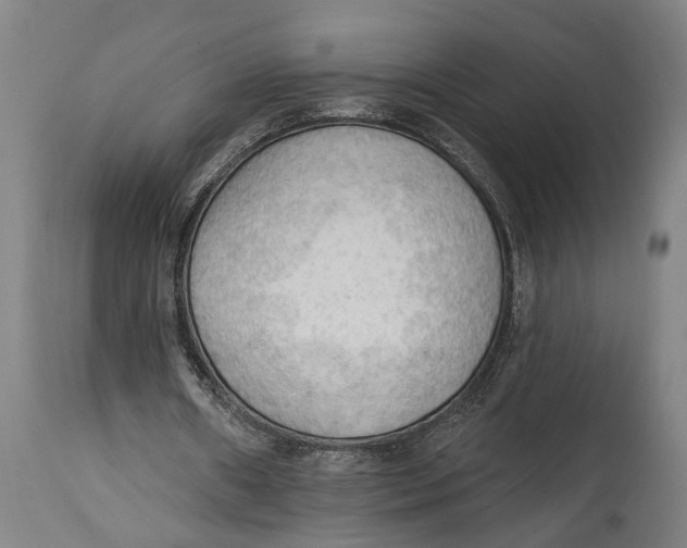 X0000114630482200911101240