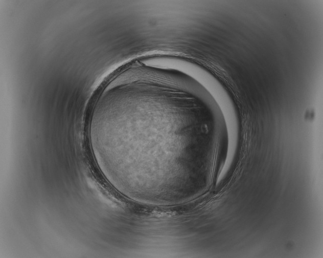 X0000114630484200911101240