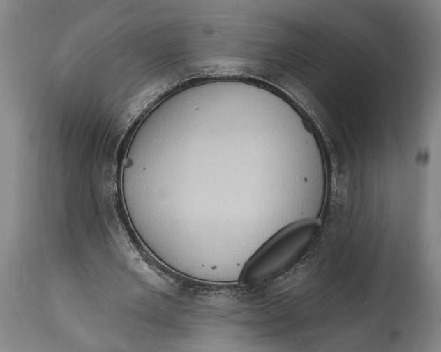 X0000114630485200911101240