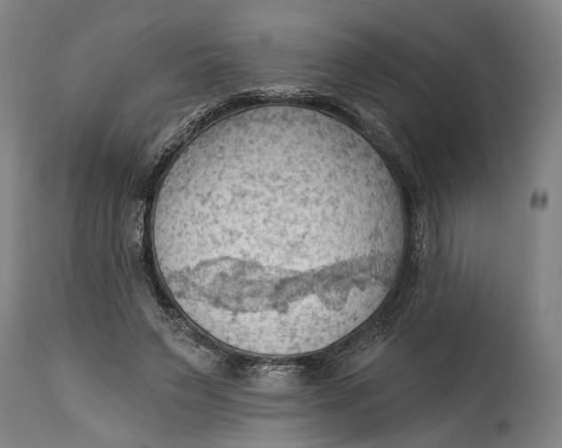 X0000114630495200911101239