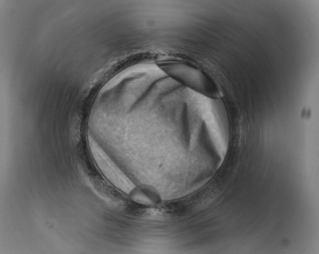 X0000114630496200911101239