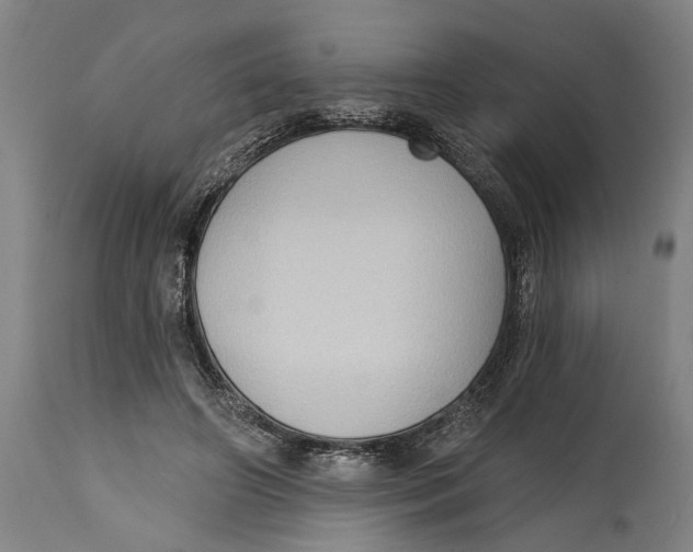 X0000114630498200911101239