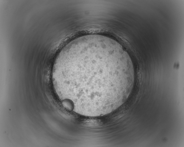 X0000114630499200911101239