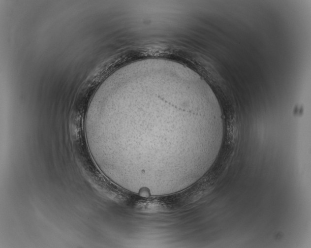 X0000114630503200911101239