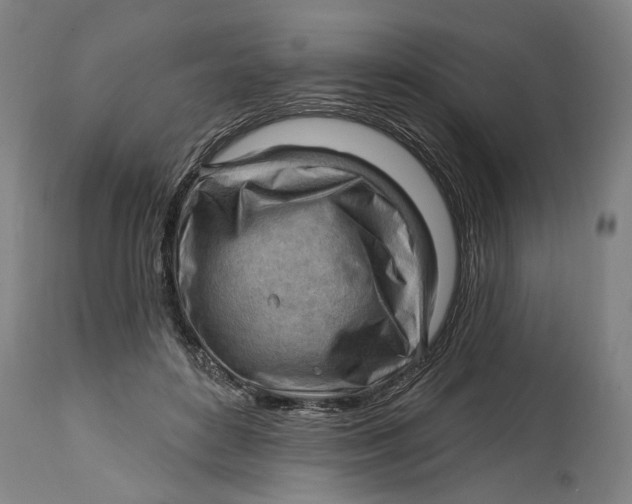 X0000114630504200911101239