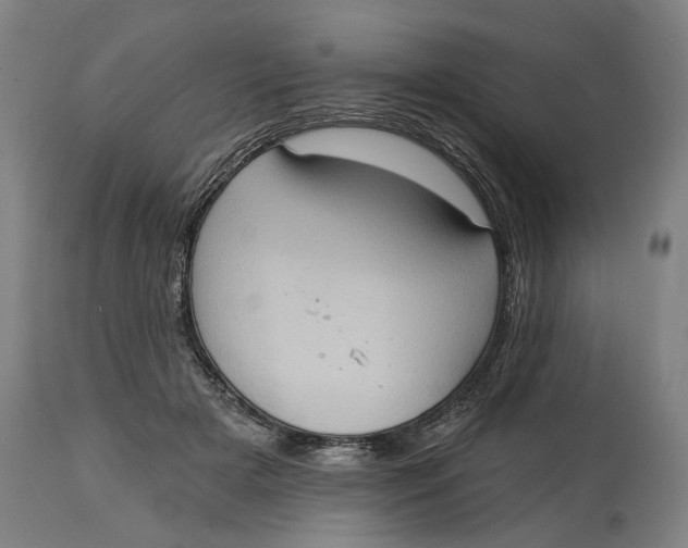 X0000114630505200911101239