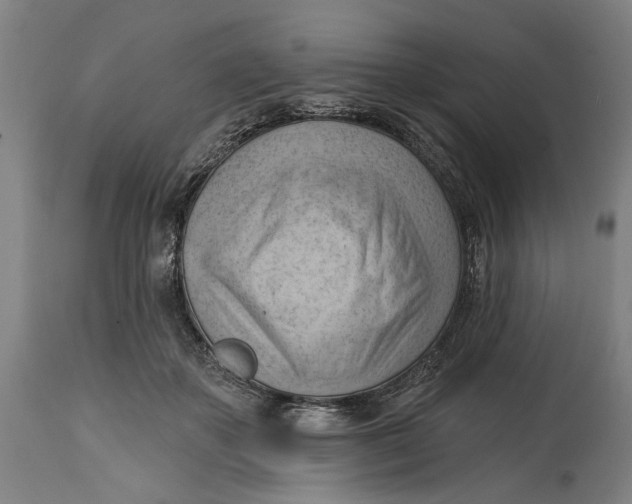 X0000114630507200911101239