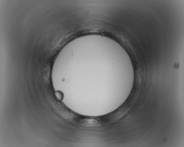 X0000114630509200911101239