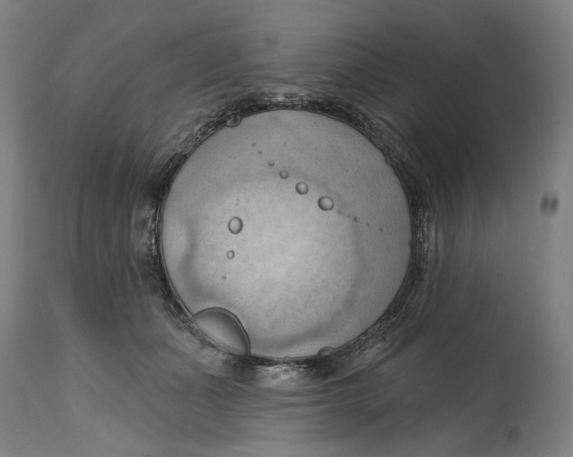 X0000114630511200911101239